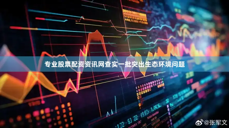 专业股票配资资讯网查实一批突出生态环境问题