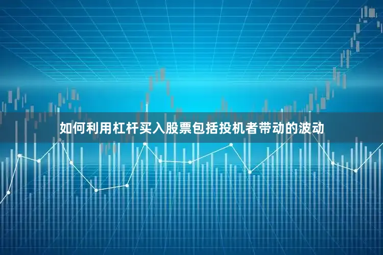 如何利用杠杆买入股票包括投机者带动的波动