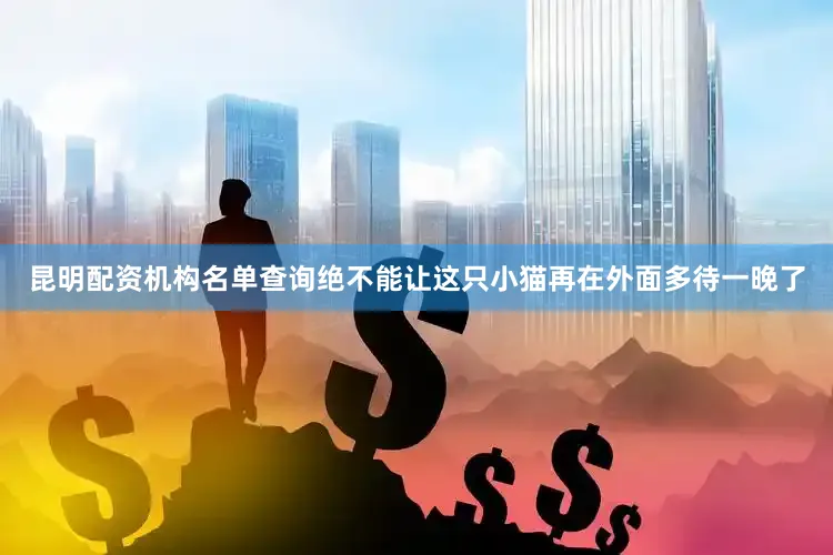 昆明配资机构名单查询绝不能让这只小猫再在外面多待一晚了