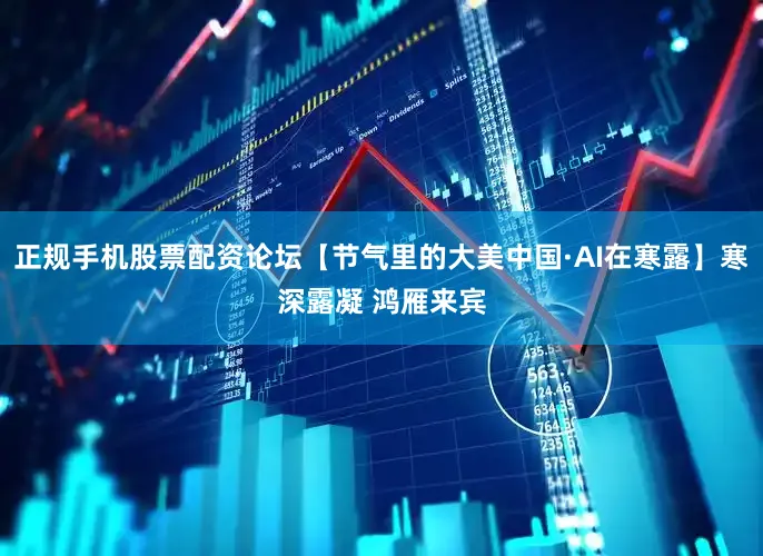 正规手机股票配资论坛【节气里的大美中国·AI在寒露】寒深露凝 鸿雁来宾